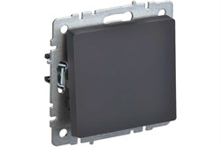 Выключатель BRITE 1-кл. 10А графит BR-V10-0-10-K53 - фото 119064