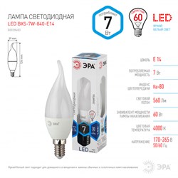 Лампа светодиодная ЭРА BXS-7W-840-E14 3081 - фото 120430