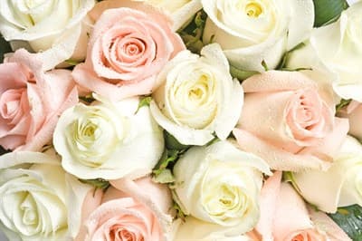 Обои PHOTO DECOR Белые и Розовые 1846 2,7*3м - фото 12554