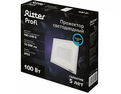 Прожектор светодиодный RITTER PROFI 100Вт 6500К 10000Lm IP65 230В черный 53410 9 - фото 128437