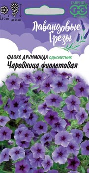 Семена ГАВРИШ Флокс Чаровница фиолетовая, Друммонда 0,05г - фото 131866