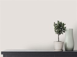Обои VS Olive фон 589222 виниловые 1,06*10,05м (1упак-6рул) (МАЯКПРИНТ) - фото 141699