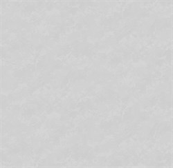 Обои VS Astra фон 589527 виниловые 1,06*10,05м (1упак-6рул) (МАЯКПРИНТ) - фото 141948
