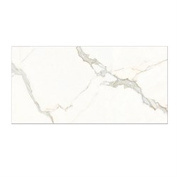 Плитка TSC облицовочная 30*60 TP3683A - фото 143697