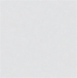 Обои VS MARKUS фон 585015 виниловые 1,06*10,05м (1упак-6рул) (МАЯКПРИНТ) - фото 144187