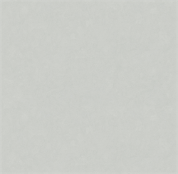 Обои VS Magnolia фон 585115 виниловые 1,06*10,05м (1упак-6рул) (МАЯКПРИНТ) - фото 144245