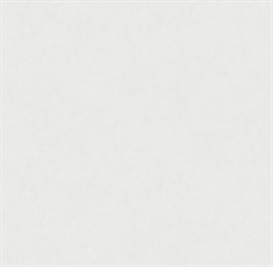 Обои VS Magnolia фон 585112 виниловые 1,06*10,05м (1упак-6рул) (МАЯКПРИНТ) - фото 144248