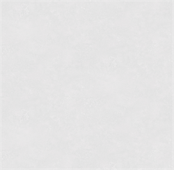 Обои VS Ambassador фон 585541 виниловые 1,06*10,05м (1упак-6рул) (МАЯКПРИНТ) - фото 144392