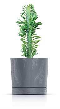 Горшок цветочный TUBO P BETON EFFECT бетон DPOP200E-422U - фото 144462 Горшок цветочный TUBO P BETON EFFECT бетон DPOP200E-422U - фото 144462