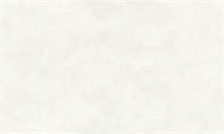 Обои АСПЕКТ РУ Карелия фон 70632-11 1,06*10,05м (1упак-6рул) - фото 144595