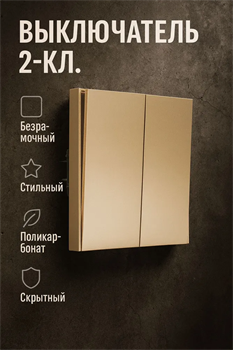 Выключатель NEXON 2-кл, цвет матовое золото 80-B3-EK21KZ - фото 144694