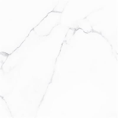 Плитка ALMA CERAMICA напольная керамогранитная Carrara 600*600*10 GFU04CRR00R - фото 15934