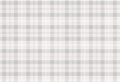 Обои ПЕРМСКИЕ Шотландка-2 1010-017 Д14 0,53х10,05м (1упак-16рул) - фото 17247