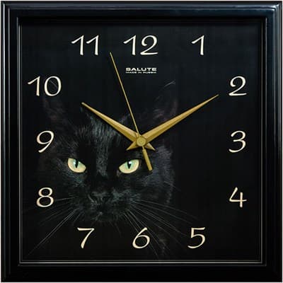 Часы настенные САЛЮТ П-2А6-412 Черная кошка - фото 17953