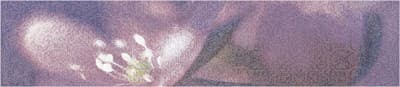 Бордюр ALMA CERAMICA Lila на фиол фиолет 364*80 45БДЛЛ303/BWU45LIL303 - фото 21628
