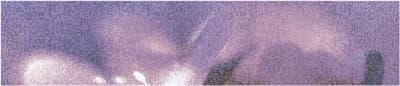 Бордюр ALMA CERAMICA Lila на фиол фиолет 364*80 45БДЛЛ323/BWU45LIL323 - фото 21629