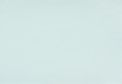 Обои АРТЕКС Фламинго декор 10177-03 1,06*10,05м (1упак-9рул) - фото 21980