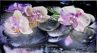 Фартук-панно ГРЕЙС Орхидея на камне! 602*1002мм ТП10019557 - фото 46126