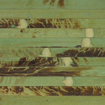 Полотно РОДЕКО Бамбуковое Зеленая черепаха (17мм лам) 900 (1рул-14пог.м) - фото 49914