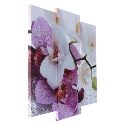 Картина модульная Краповая орхидея! 2шт-25*52см, 1шт-30*60см, 60*80см 3981588 - фото 58251