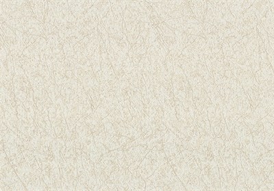 Обои ЛАНИТА ДХС-1412/2 Клейн (песочно-золотистый) 1,06*10,05м (1упак-9рул) - фото 67751