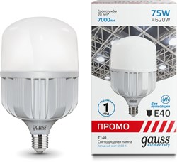 Лампа GAUSS LED Elementary T140 Promo E40 75W 6500K 60438 - фото 67988