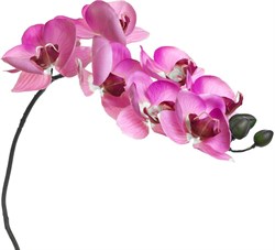 Декор цветы ОРХИДЕЯ розовато-лиловый 20374 - фото 79497