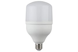 Лампа светодиодная LED Glob (464 T100 2730) T100 30W 6400K E27 220V