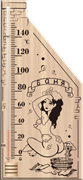 Термометр ВИКТЕР ПЛЮС Сувенир для сауны основание дерево 110*265мм ТС №5