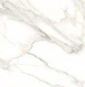 Керамогранит Steppe ceramics Carrara white 60*60