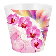Горшок для цветов InGreen London Orchid Deco D160мм 1,6л дренаж.вставка, розовая орхидея IG619610512