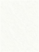Обои АСПЕКТ РУ WallDecor Торонто 70649-10 1,06*10,05м (1упак-6рул)