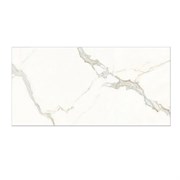 Плитка TSC облицовочная 30*60 TP3683A