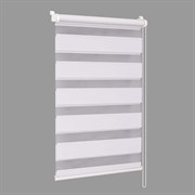 Штора рул. DELFA ДЕНЬ-НОЧЬ D609 50/160 Стандарт белый