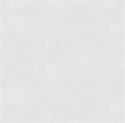 Обои VS Ambassador фон 585541 виниловые 1,06*10,05м (1упак-6рул) (МАЯКПРИНТ)