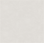 Обои VS Ambassador фон 585542 виниловые 1,06*10,05м (1упак-6рул) (МАЯКПРИНТ)