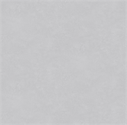 Обои VS Ambassador фон 585547 виниловые 1,06*10,05м (1упак-6рул) (МАЯКПРИНТ)