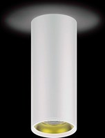 Светильник светодиодный GAUSS накладной 12W 3000K 900Lm 79*200 (белый/золото) HD012