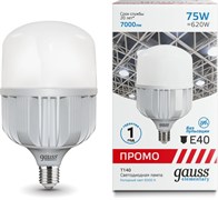 Лампа GAUSS LED Elementary T140 Promo E40 75W 6500K 60438