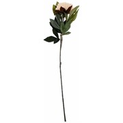 Цветок искусственный LEFARD Пион В=80см кремовый 283-611