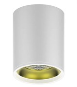 Светильник светодиодный GAUSS накладной 12W 3000K 900Lm 79*100 (белый/золото) HD010
