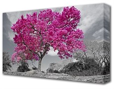 Картина на холсте Цветущее дерево 60*100см 3674926