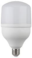 Лампа светодиодная ЭРА LED smd POWER 20w-4000-E27