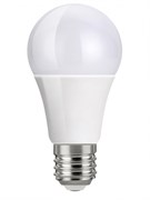Лампа светодиодная Eurolight ELEC-502-A60-9-3K-E27-FR