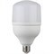Лампа светодиодная LED Glob (464 T120 2740) T120 40W 6400K E27 220V - фото 101189