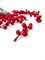Ветвь искусственная с ягодами L60см CAA120670 - фото 105380