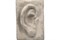 Скульптура-органайзер BLUMEN HAUS Ухо Давида 21*14,5*8см, цемент 67002 - фото 108176