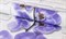 Обои АСПЕКТ РУ Орхидея декор 10107-46 0,53*10,05м (1упак-12рул) - фото 112245