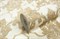 Обои ЛАНИТА PVIP Вермонт декор (золотисто-оливковый) PVIP8-0479 1,06*10,05м (1упак-6рул) - фото 115460
