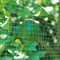 Сеть садовая GREEN APPLE 2*5м GFPN12-25 - фото 121804